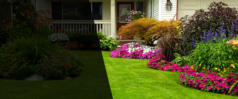 San Francisco Landscapers