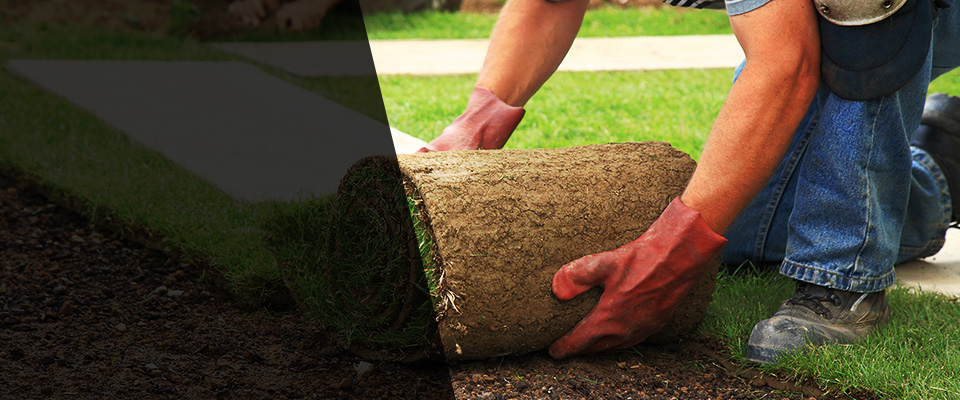 San Francisco Landscapers